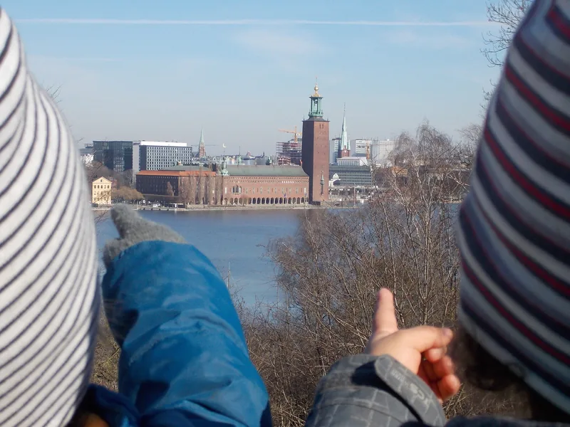 Barn som står vid en utsiktsplats och ser stadshuset