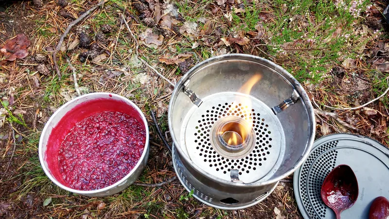 Ett spritkök där en behållare är fylld med rårörda lingon.