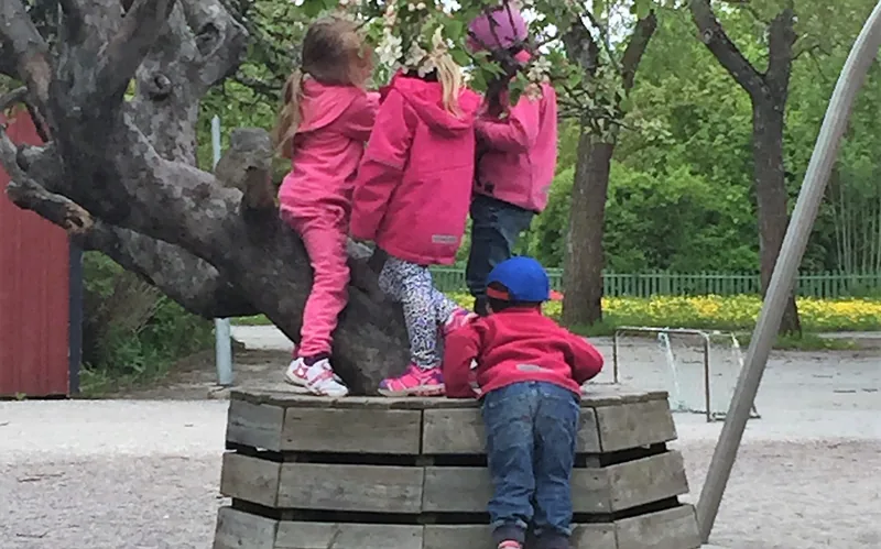 Barn leker vid ett träd.