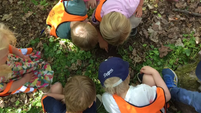 Förskolebarn som leker i skogen.
