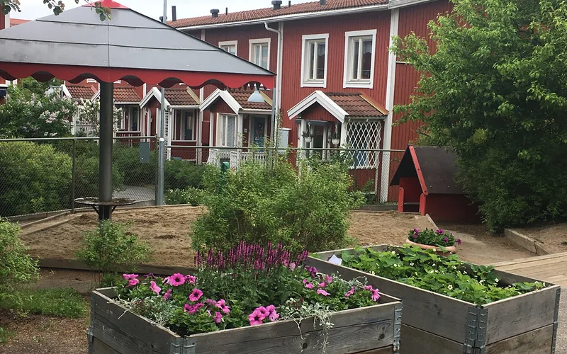 Gården med sandlådor och pallkragar med lila blommor i förgrunden och utsikt mot radhus.