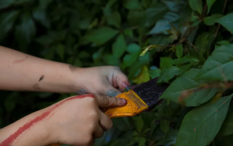 Händer, pensel, gröna blad