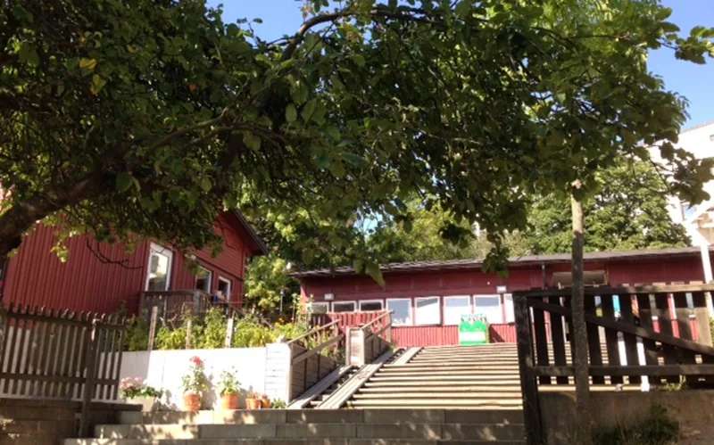 Sachsgatans gård i full grönska.