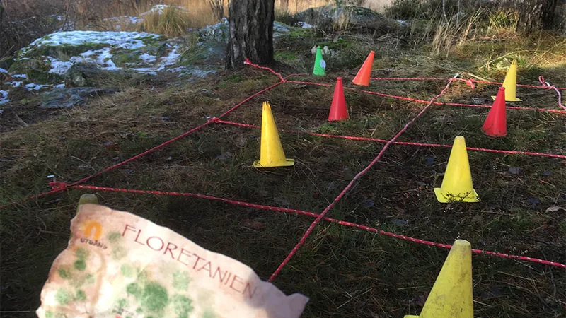 Utomhusaktivitet i skogsmiljö, med uppställda gula och röda koner.
