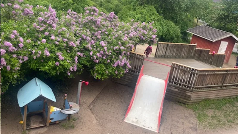 Foto av Förskolan Svärdlångsvägen